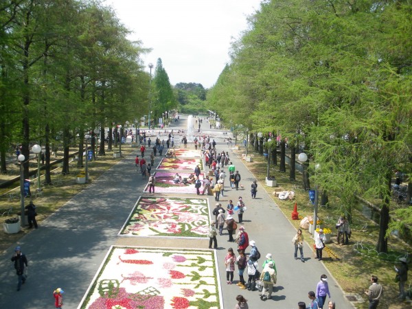 季節を彩る“花絵”イベント、各地で開催