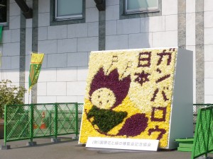 季節を彩る“花絵”イベント、各地で開催