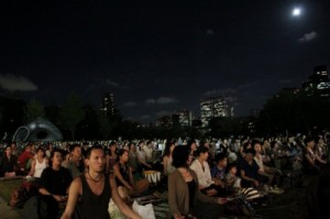 芝生広場特集 (53)