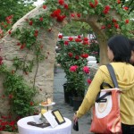 第14回 国際バラとガーデニングショウ　International Roses & Gardening Show 2012