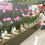 第14回 国際バラとガーデニングショウ　International Roses & Gardening Show 2012