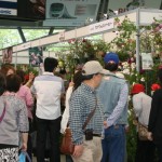 第14回 国際バラとガーデニングショウ　International Roses & Gardening Show 2012