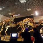 大恐竜展―ゴビ砂漠の驚異